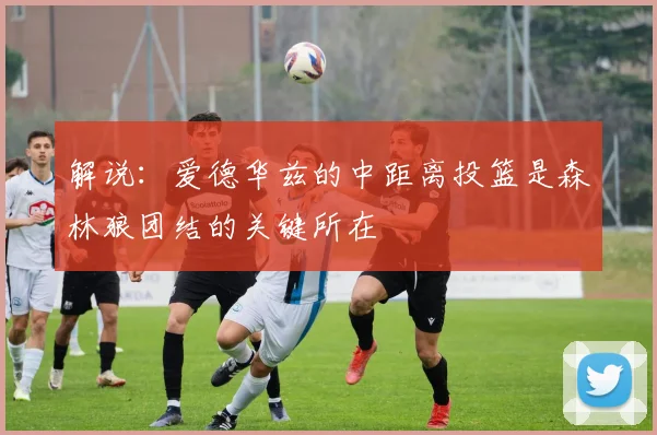 解说：爱德华兹的中距离投篮是森林狼团结的关键所在